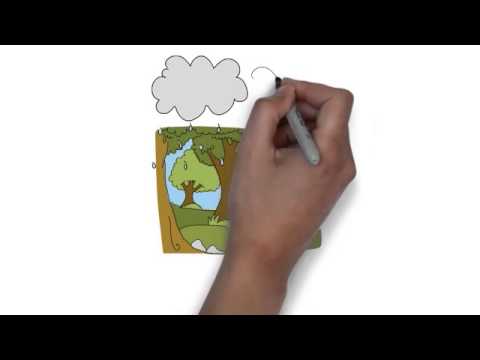 Geography - Ecosystem & The Environment: Geography Exam Tips