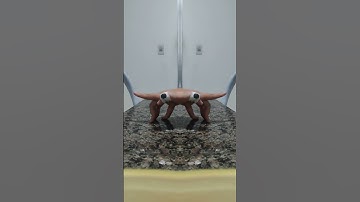 floating hand spider