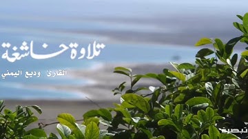 أواخر سورة القصص | القارئ وديع اليمني.