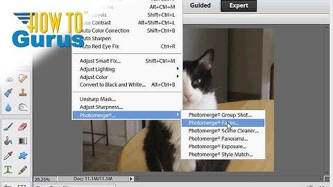How to Do a Face Swap with Photomerge Faces in Adobe Photoshop Elements 2019 2018 15 14 13 Tutorial