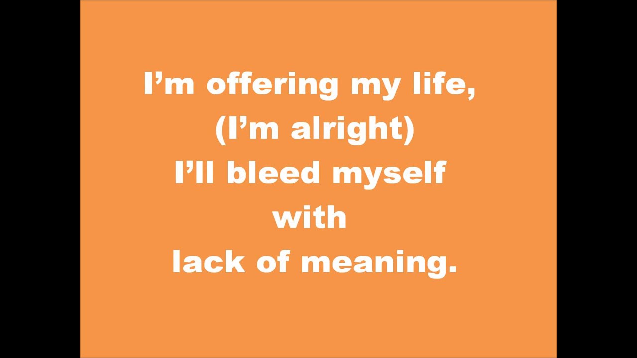 The Bunny The Bear In Like Flynn Lyrics YouTube