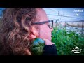 Solo Voce - Raccolta Audio Vol. 2 | Produciamo Naturalmente Podcast Agricoltura Sostenibile