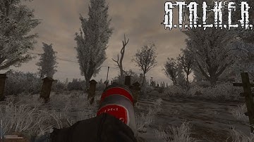 Этот парень был из тех кто просто любит жизнь.. - STALKER Anomaly Reality