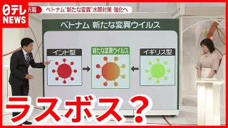 ベトナムで新たな変異ウイルス  影響と対策は？(2021年5月31日放送「news zero」より)
