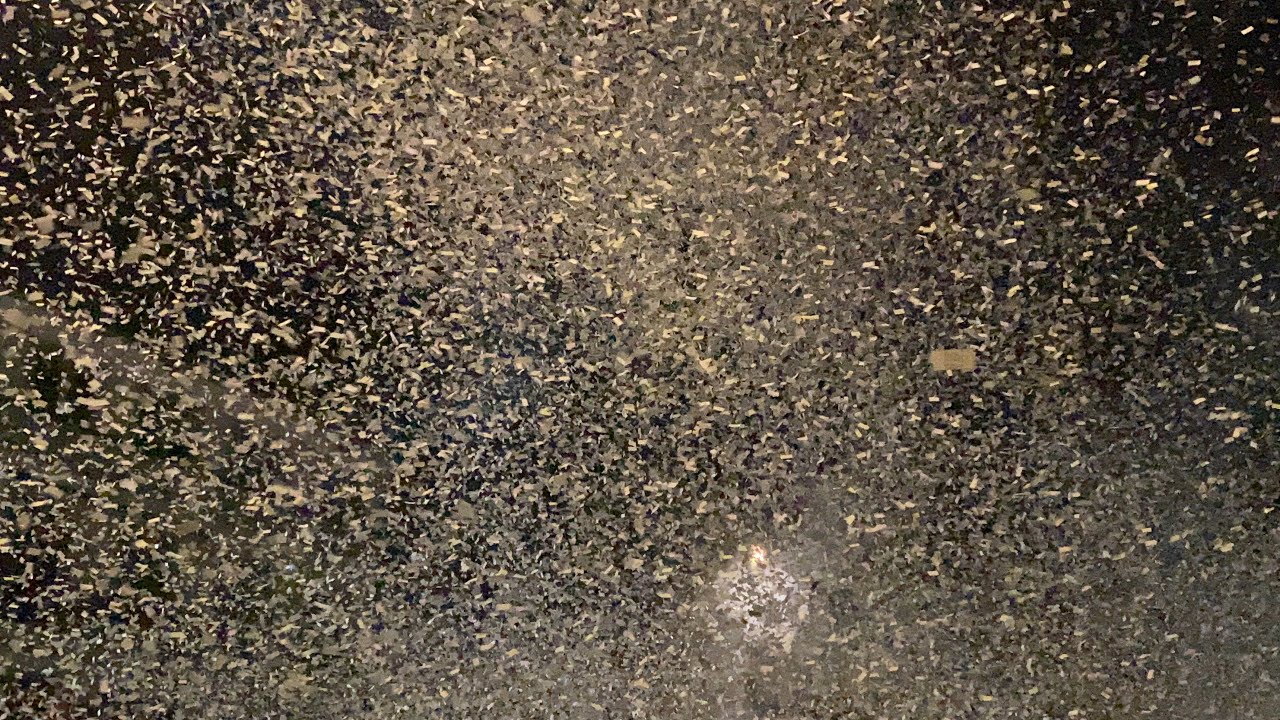 Luzern // Fasnacht Fözeliräge (Urknall)