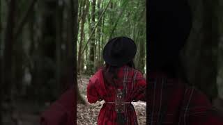 Curious Pathways – Optimistic acoustic folk for tutorials & lifestyle videos 🌿