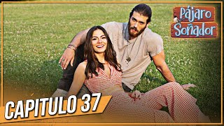 Pájaro soñador - Capitulo 37 (Audio Español - Larga Capitulo) | Erkenci Kuş