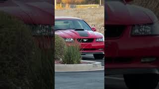 Torch red and Zinc Yellow 2003 Mach 1s