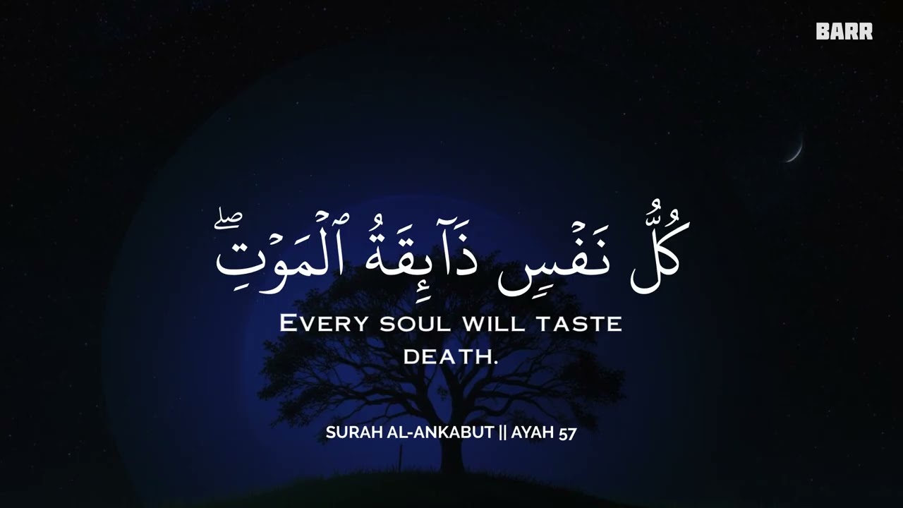 أرح سمعك وقلبك بالقرآن - تلاوة تقشعر لها الأبدان بصوت محمد هشام | Mohamed Hesham | ❤️🎧