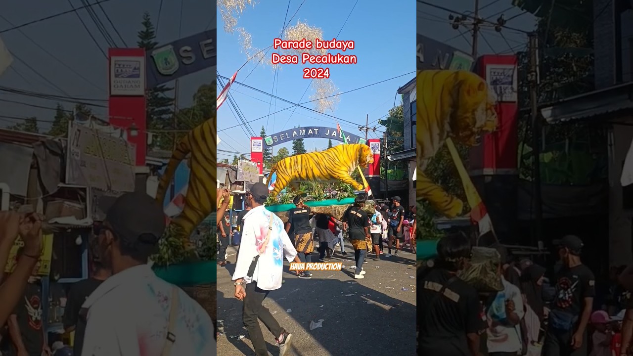 Parade budaya desa Pecalukan 2024 