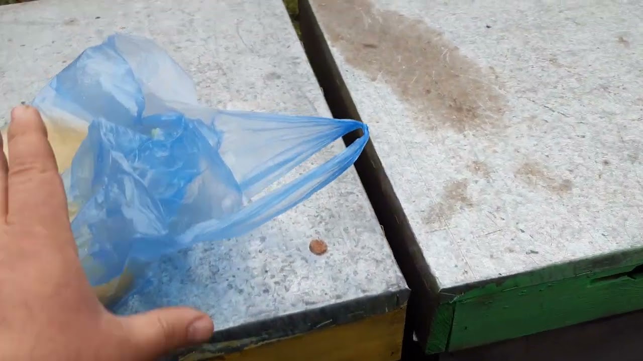 Am dat miere la stupi+unul cred că nu are regină!