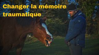 Comment j'aide cette jument trauma