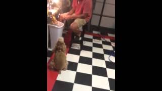 IMG 5069