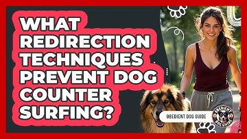 What Redirection Techniques Prevent Dog Counter Surfing? - Obedient Dog Guide
