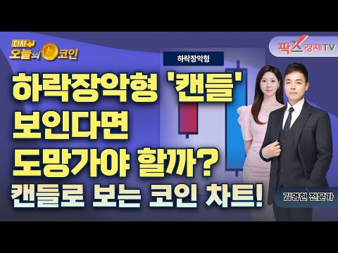 DOGE, 추가 하락 가능성 제기 / 만트라, OM 토큰 대규모 <strong>소각</strong> 예정 [250417 다시 오늘의 <strong>코인</strong>] (김명현,권지영)