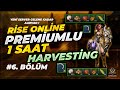 💥 6. Bölüm | Rise Online'da Takipçilerimden İlk Düğün Hediyemi Aldım! 💍❤️ 1 Saat Harvesting Rehberi