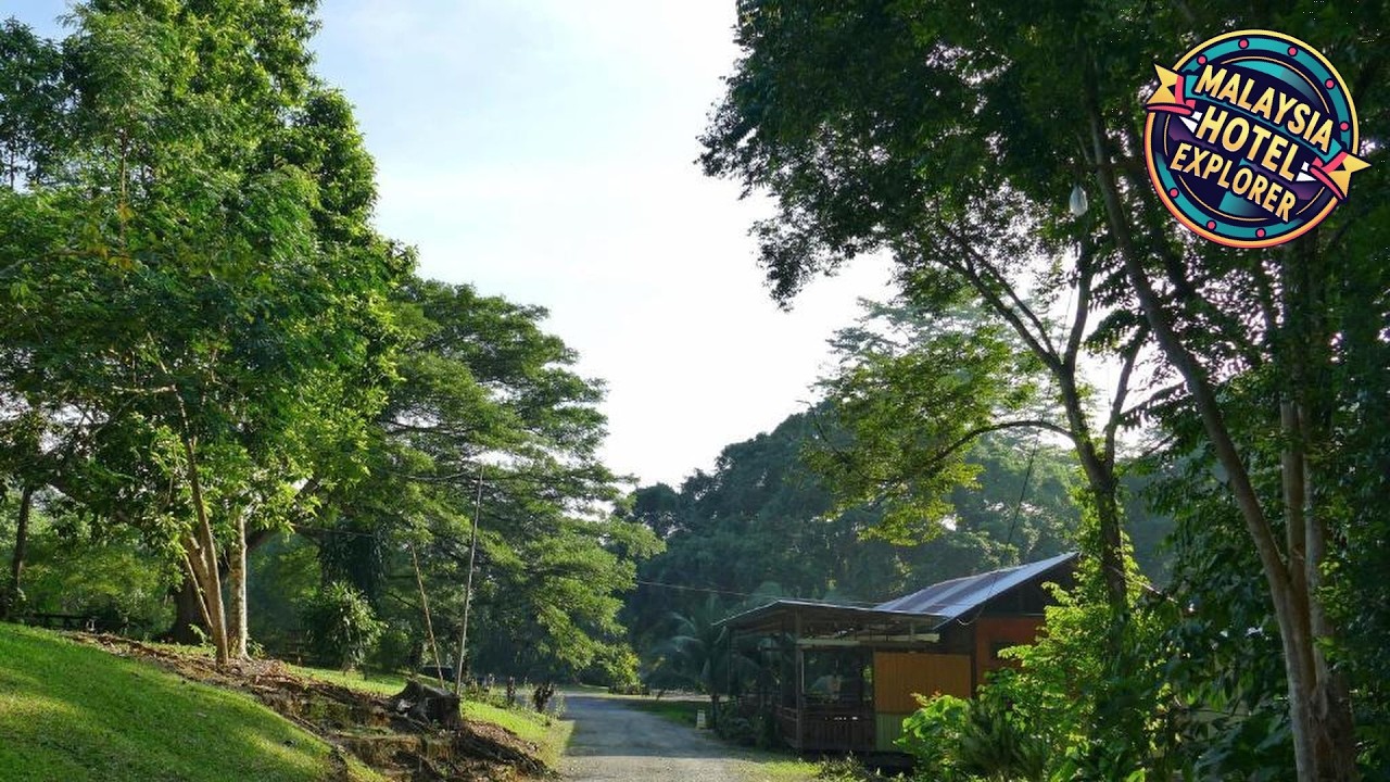 Sepilok B&B | Sandakan, Malaysia | Hotel Review 🏩