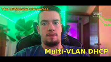 Multi-VLAN DHCP Simplified | The OPNsense Chronicles