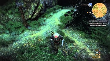 The Witcher 3: Wild Hunt cutscene trigger bug (now fixed)