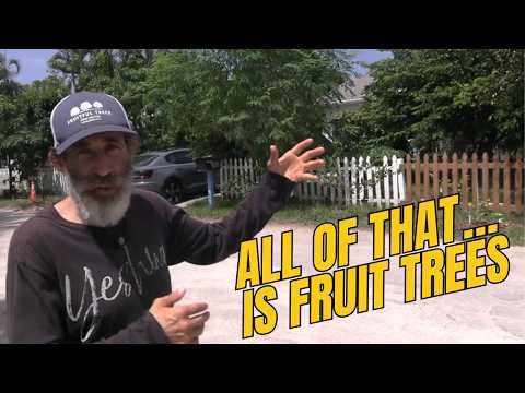 He Grows Over 100 Fruit Trees… and Teaches You Everything He Knows