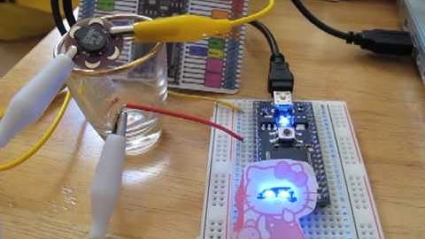 HK Sings Twinkle Twinkle Little Star