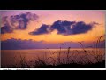 Relaxing Music for Reading, Study, Read, Concentrate, Meditation &amp; SPA