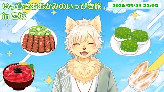 【旅レポート】いっぴきオオカミのいっぴき旅 in 宮城  2024/09/23【乙凱モルフィ】