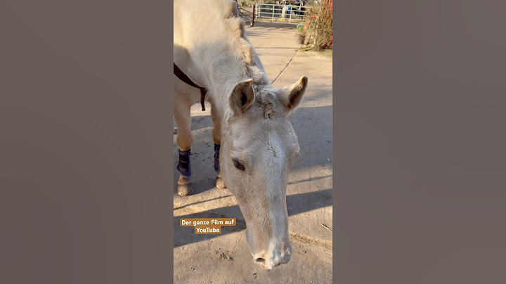 Ich denke über mein Leben nach‼️😳 #reisegruppeunbeliebt #horse #freefire #equestrian
