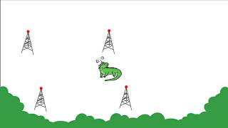 Radio Telemetry Tracking: Summer 2021