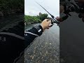 水面大爆発 #fishing #bassfishing #釣り #バス釣り