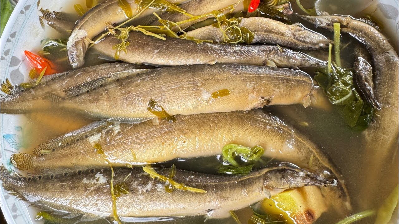 #mukbang #อร่อยแซ่บนัว #food #ต้มปลาหลดใส่ใบขามอ่อนซดน้ำร้อนๆคำข้าวใหญ่ๆจ้ำแจ่วสุดยอดหลาย