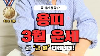[2025년 용띠 3월 운세] 곧 ‘큰 일’ 터집니다! 금전운ㅣ애정운ㅣ건강운