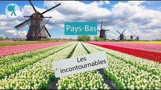 Pays-Bas - Les incontournables du Routard