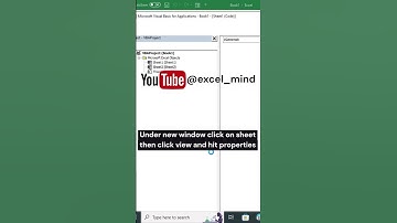 Hide Ms Excel Sheet With VBA