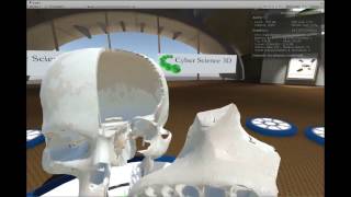 VIVED VR Human Skull Dissection App for HTC VIVE screenshot 5