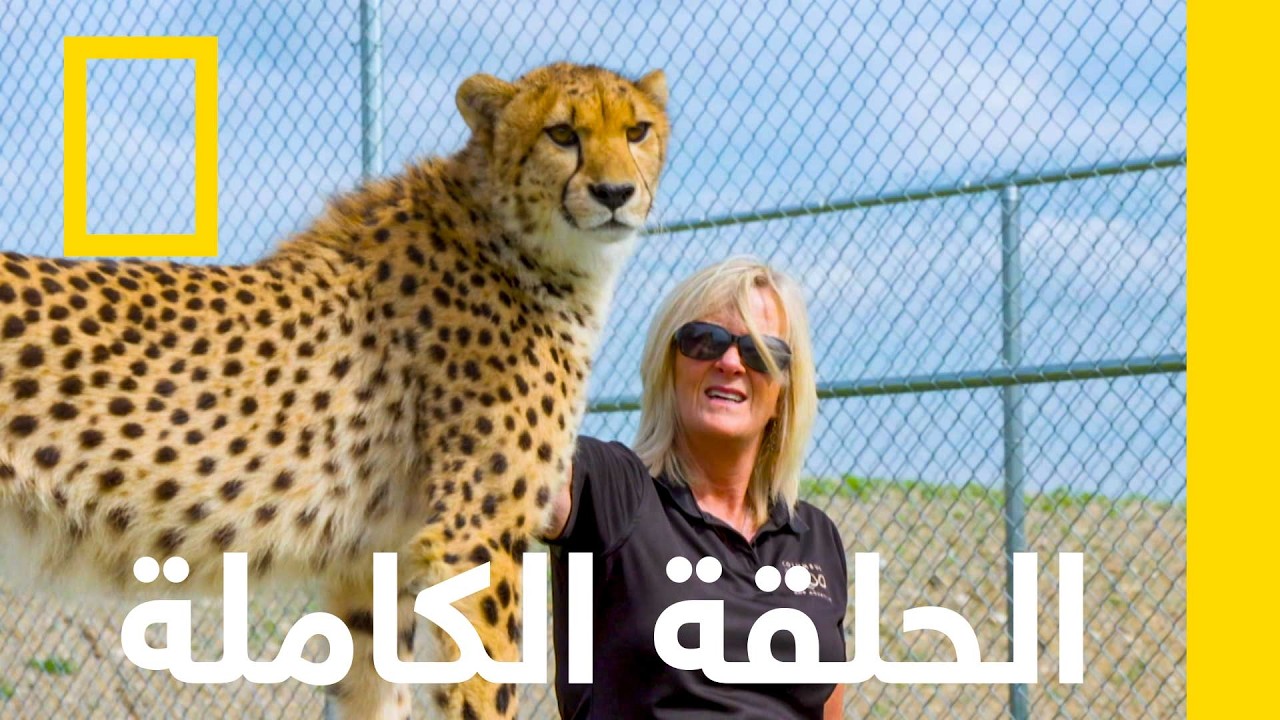 ����� ���� ����� | ����� ����� ������� | ������� ��������� ������
 - نشر قبل 28 دقيقة