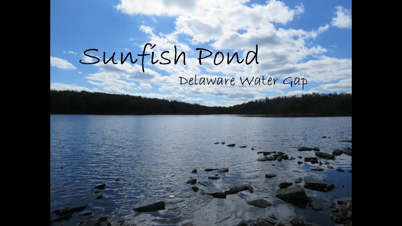 Hiking to Sunfish Pond, Delaware Water Gap, NJ YouTube