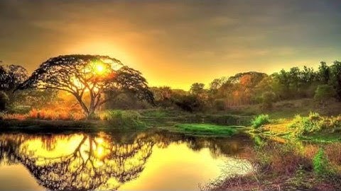 سورة الحاقة .. الشيخ | أحمد أبو العينين |