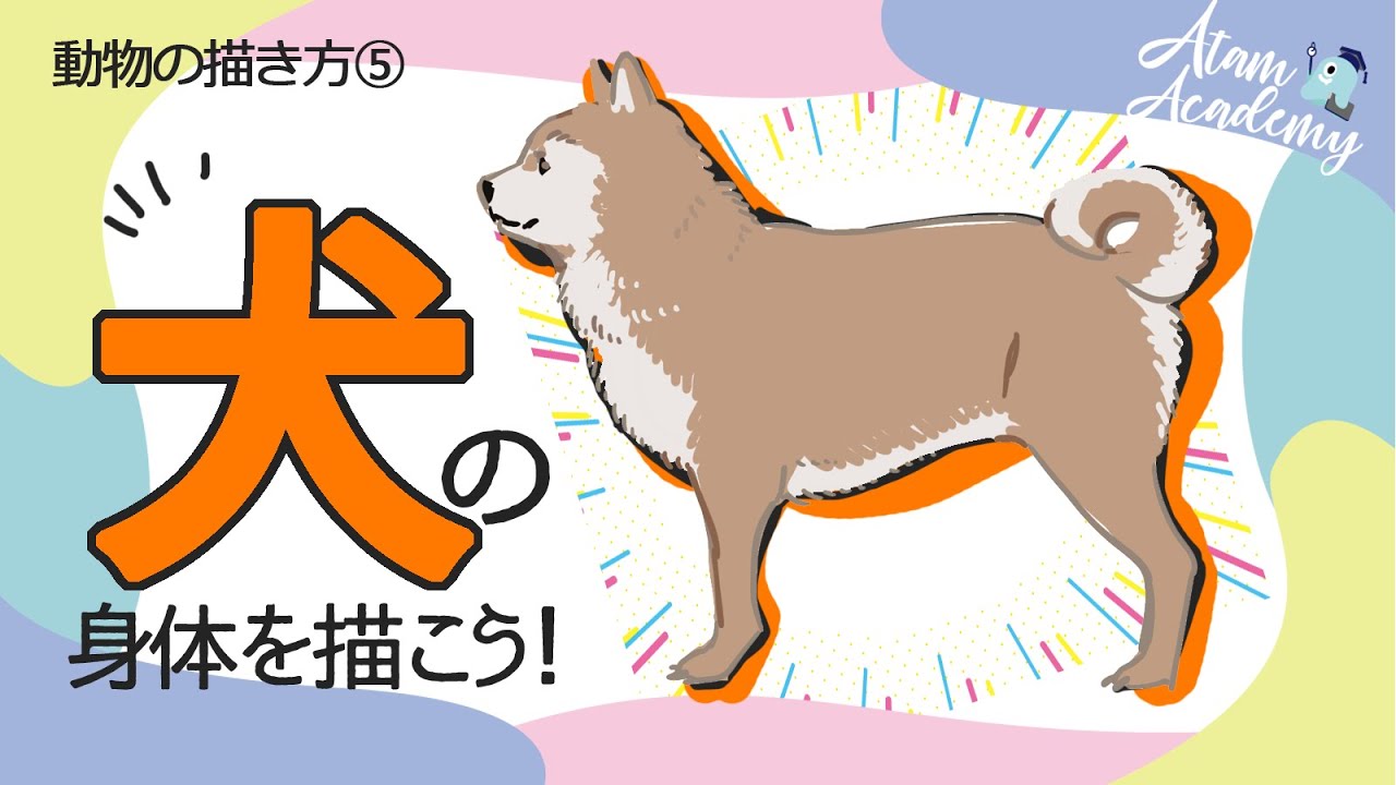 動物の描き方 柴犬で犬の体描き方練習 イラストテンプレート付 Youtube