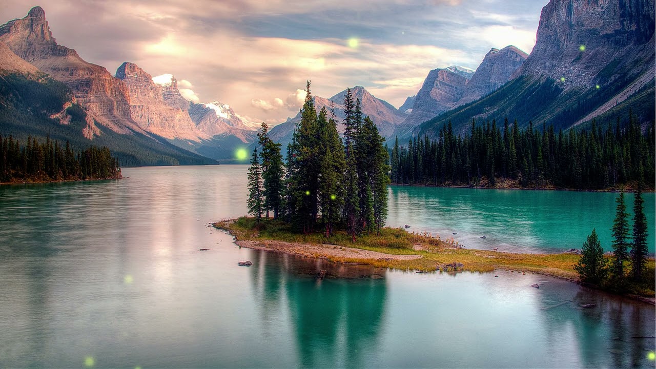 Cozy Coffee Shop Acoustic | Soft Relaxing Song for Stress Relief, Study & Evening Chill