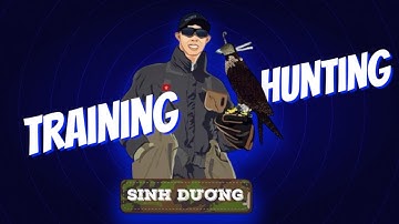 Cắt lớn săn cò trắng theo trâu