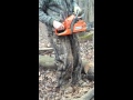 Husqvarna 445 chainsaw start up and sawing