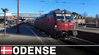 Trains in Odense | DB 185, DSB MF & ER, DSB Vectron...