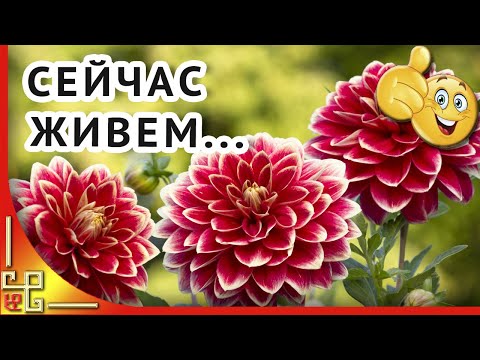 Однажды всё проходит безвозвратно. Красивые стихи о жизни и красивая музыка