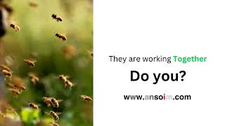 Organizational Development | Implementation Management Consulting | ansoim