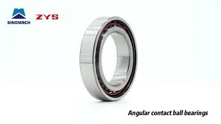 ZYS Single row angular contact ball bearings