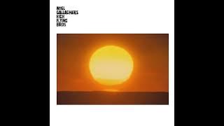 Noel Gallagher's High Flying Birds - In A Little While (Demo)