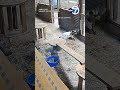 Woman fights off cougar to save her goat
