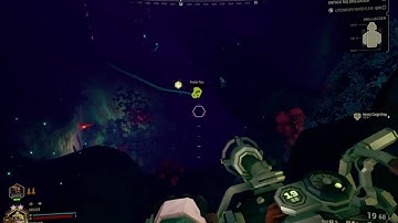 Fester Flea had a Bad Day