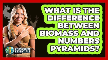 What Is the Difference Between Biomass and Numbers Pyramids?